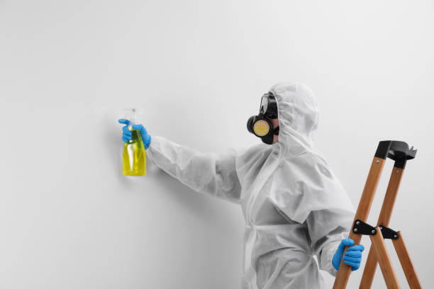  , USA Mold Removal Pros